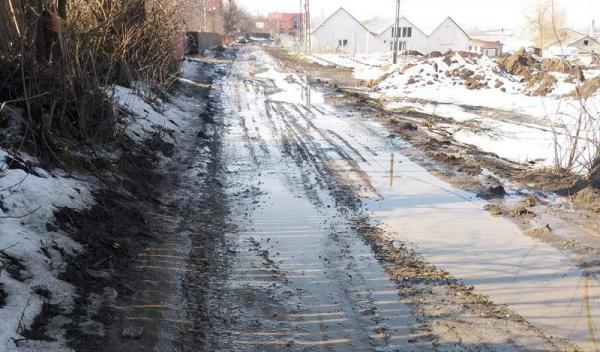 strada Oituz Dorohoi
