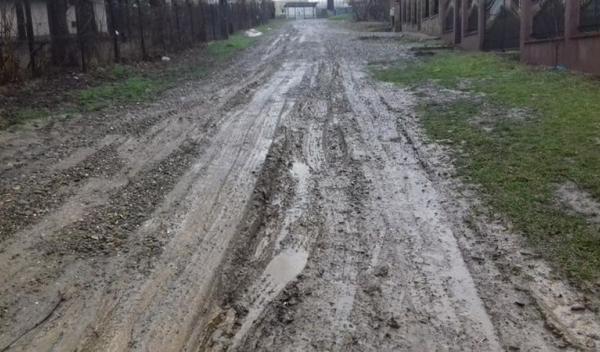 strada Petrocici Dorohoi 01