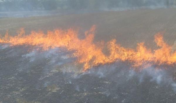 Incendii miristi