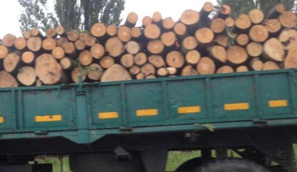 transport lemne