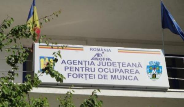 AJOFM Botosani