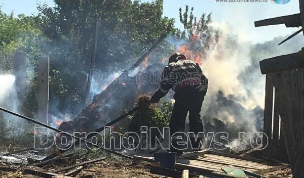 Incendiu furaje Broscauti_10
