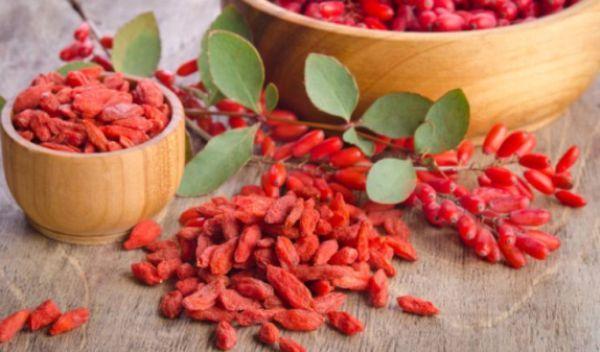 fructe-goji