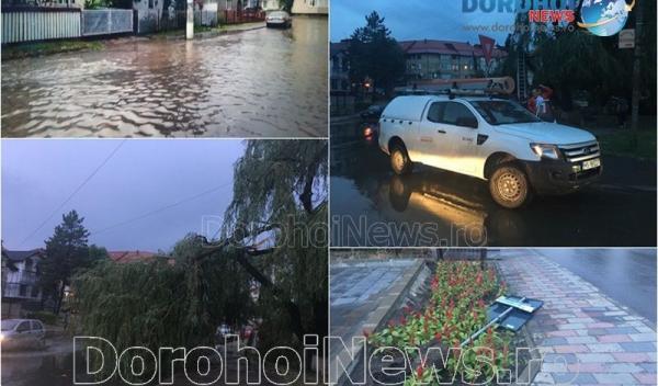 Furtuna Dorohoi_00