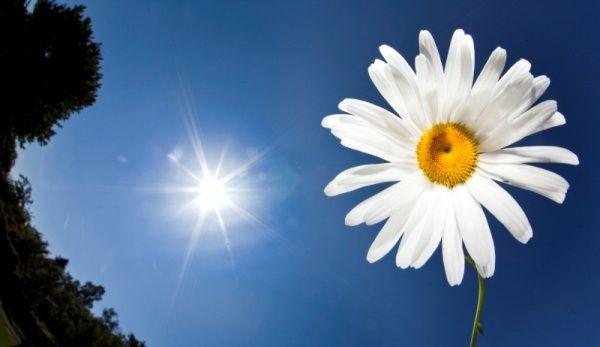 Solstitiu de vara 21 iunie