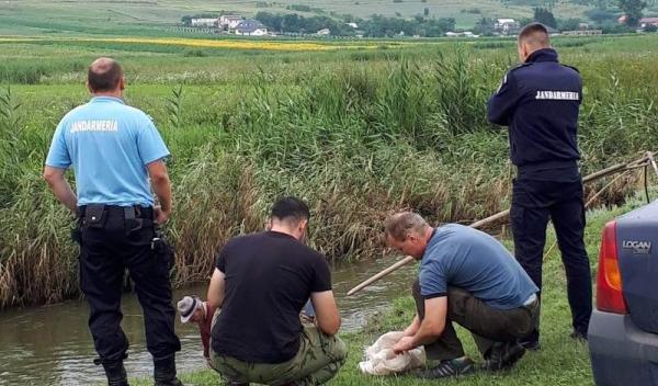 pescari amendati