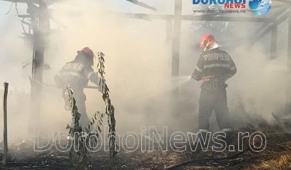 Incendiu Cobala_04