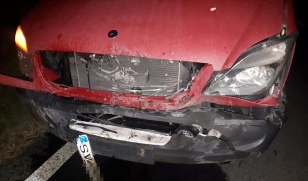 Accident porc_1