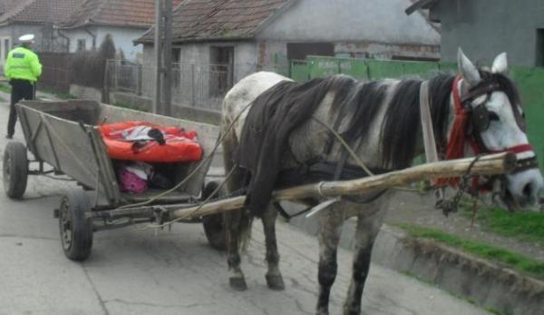 accident caruta