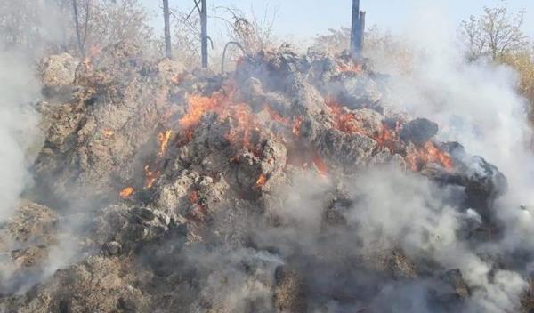 incendiu Bobulesti 07