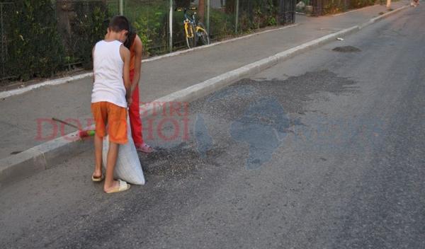 Seminte pe strada Stefan cel Mare din Dorohoi01