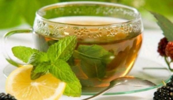 menta_ceai_de_menta