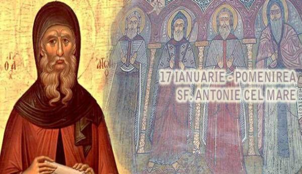sf antonie