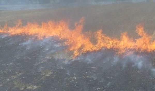 Incendii miristi
