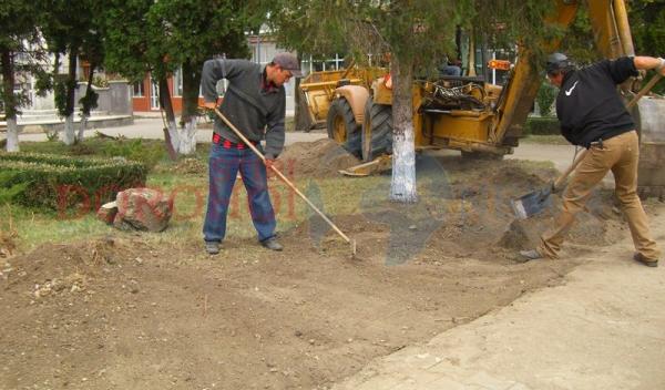 Reabilitare parc Dorohoi (2)