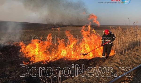 Incendiu vegetatie Dorohoi_03
