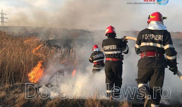 Incendiu vegetatie Dorohoi_24