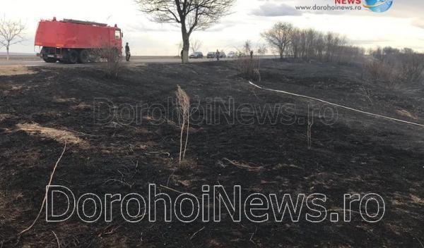 Incendiu vegetatie_15