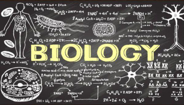 biologie