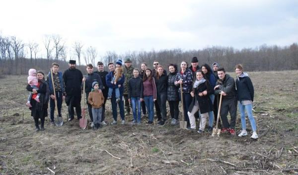 plantare copaci seminar Dorohoi 01