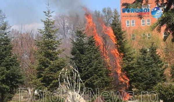 Incendiu Cholet Dorohoi_03