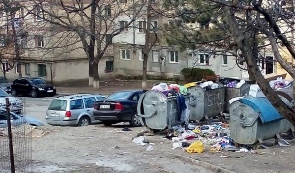 dorohoi luna curateniei