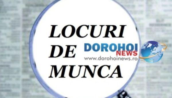 locuri de muncă vacante 01