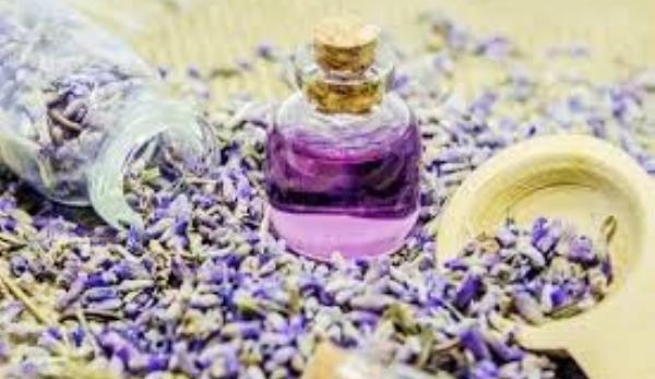 apa de lavanda