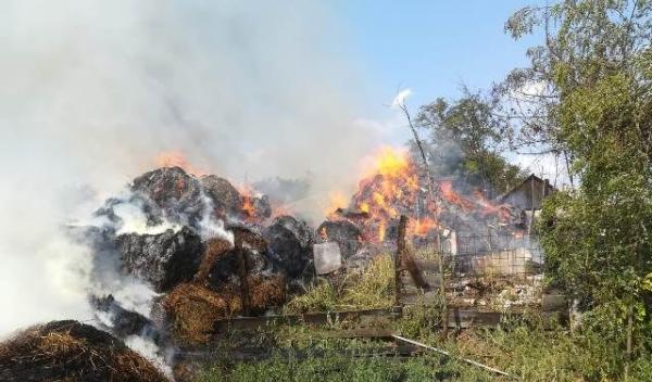 Incendiu depozit furaje_1