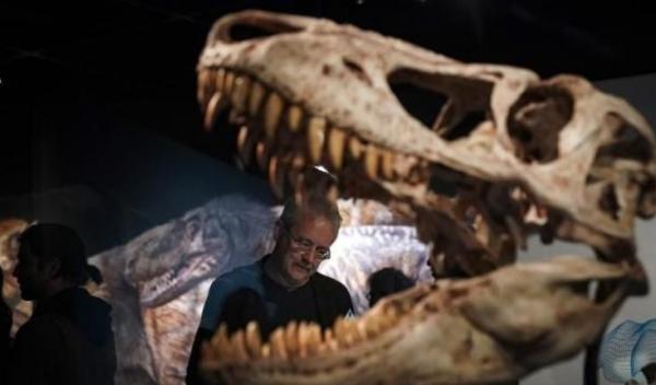 T-Rex
