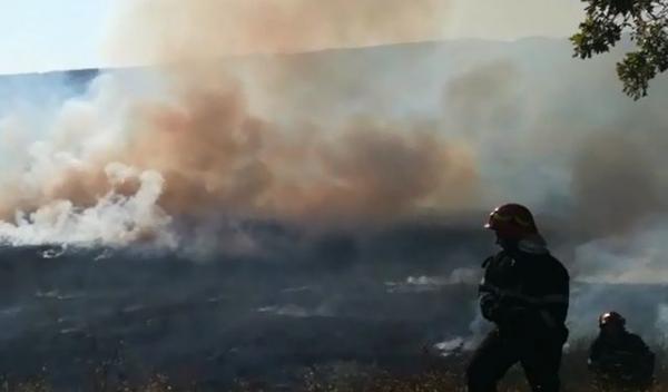 Incendiu vegetatie_1