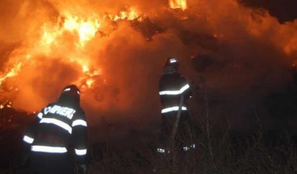 incendiu furaje