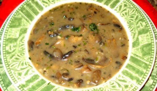 tocanita-de-ciuperci-a-la-bunica