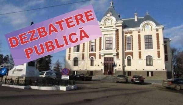 dezbatere publica