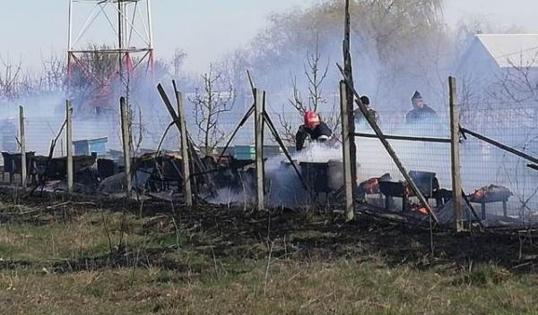 Incendiu stupi_3