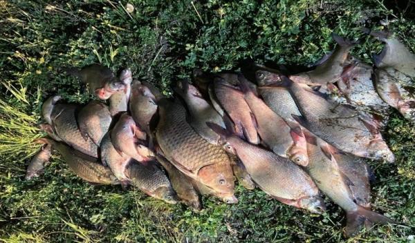 Pescari la vreme de seara