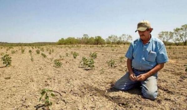 agricultura-seceta-teren-despagubiri