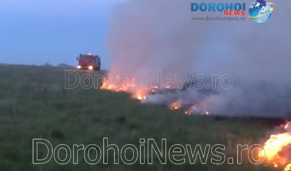 Incendiu vegetatie_11