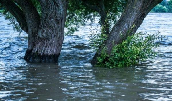 vin-inundatiile