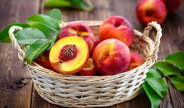 nectarine