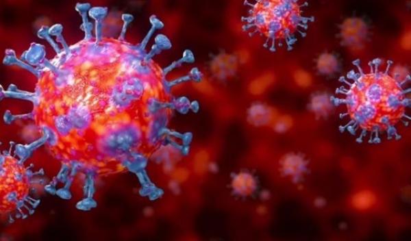 coronavirus-1