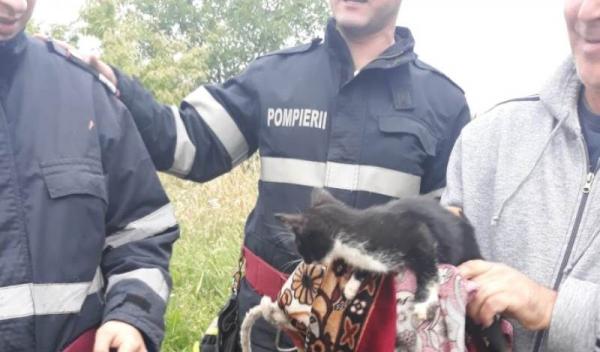 pisica salvata din fantana (2)