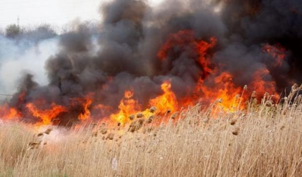 foc-incendiu-vegetatie