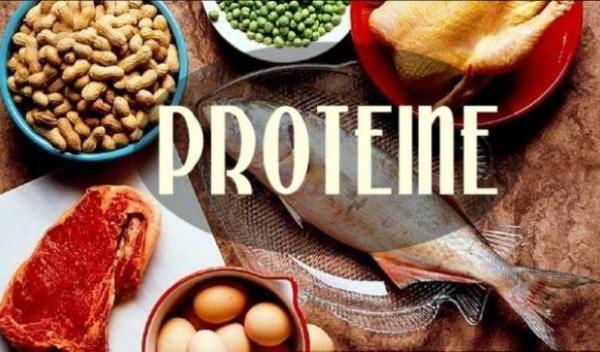 proteine