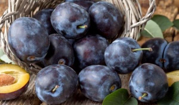 prune