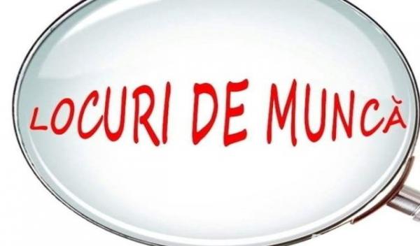 Locuri de munca