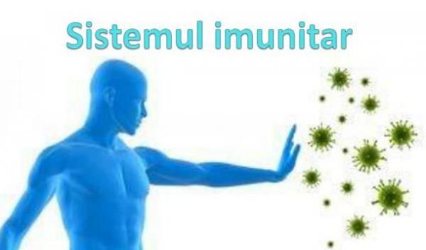 sistemul-imunitar-n