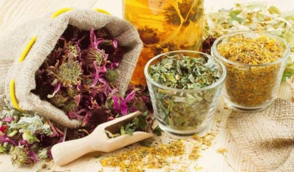 plante-medicinale