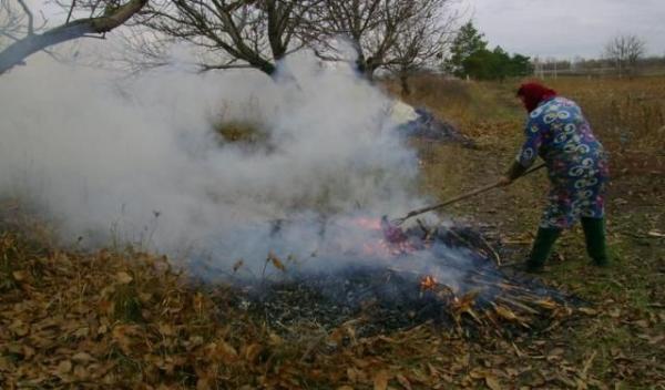 foc livada