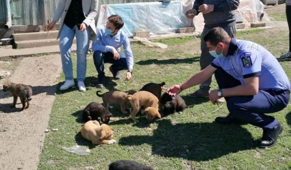 Biroul de Protectie a Animalelor (3)